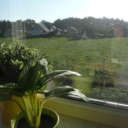 Apartmán De Alpacaboerderij Bocholt Pokoj fotografie