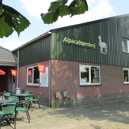 Apartmán De Alpacaboerderij Bocholt Exteriér fotografie