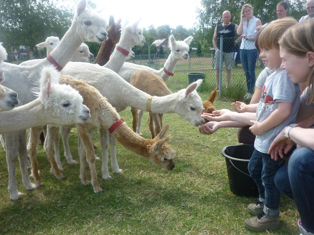 Apartmán De Alpacaboerderij Bocholt Exteriér fotografie