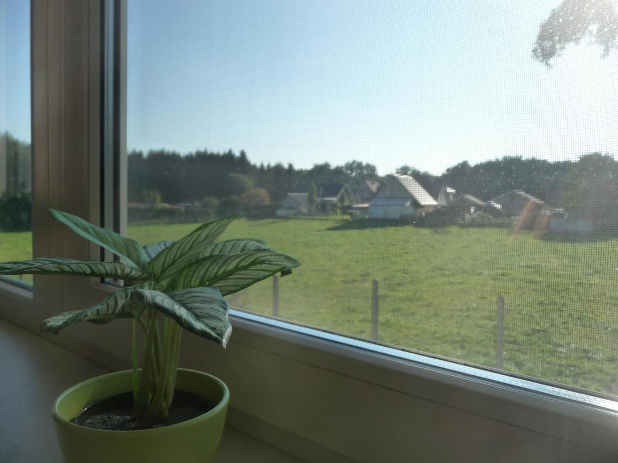 Apartmán De Alpacaboerderij Bocholt Pokoj fotografie