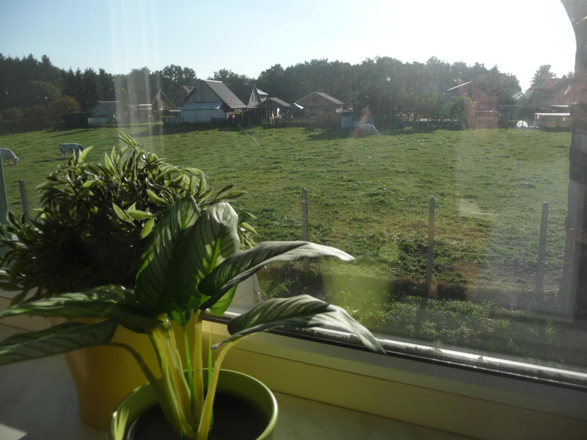 Apartmán De Alpacaboerderij Bocholt Pokoj fotografie