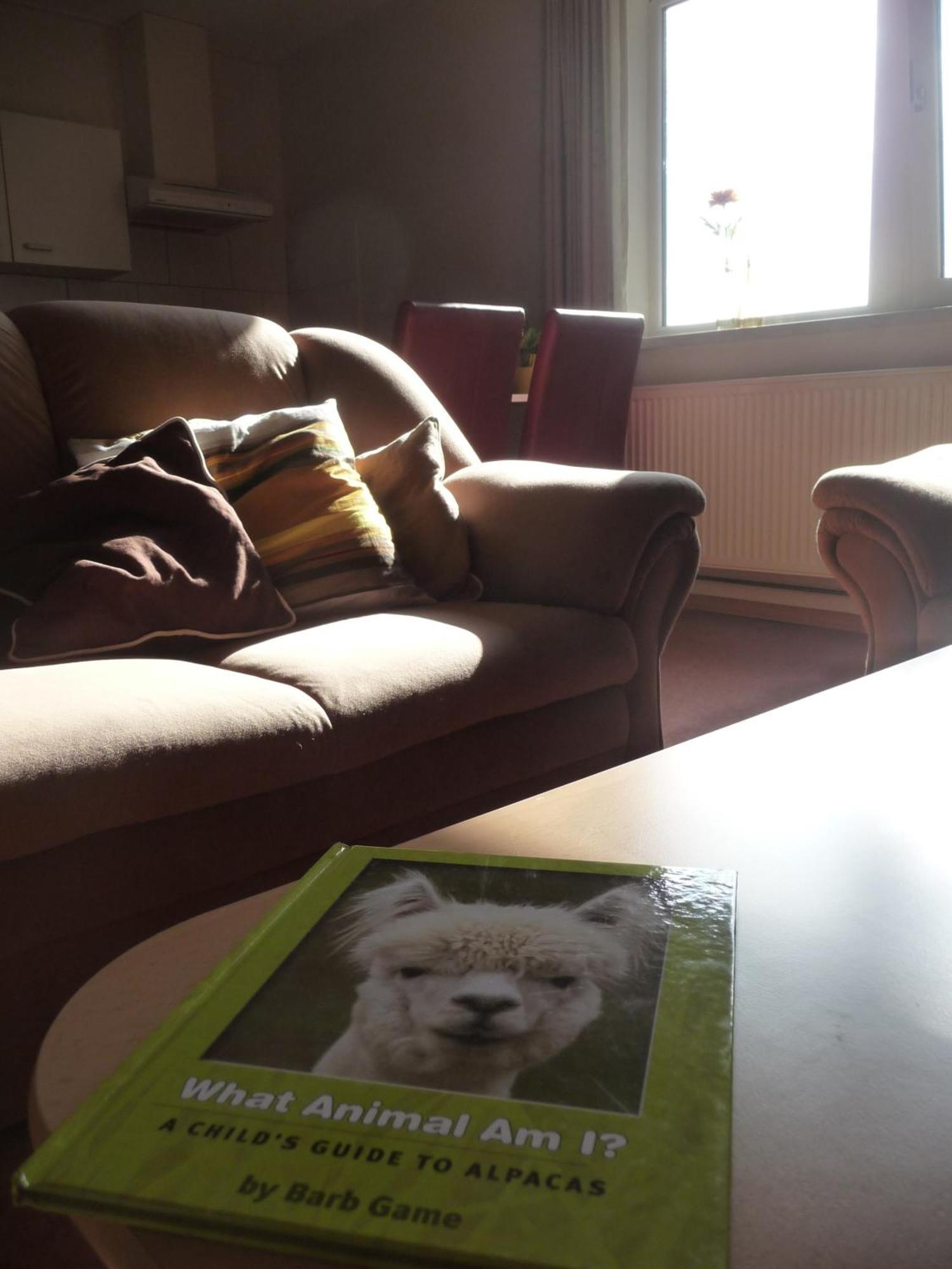 Apartmán De Alpacaboerderij Bocholt Pokoj fotografie