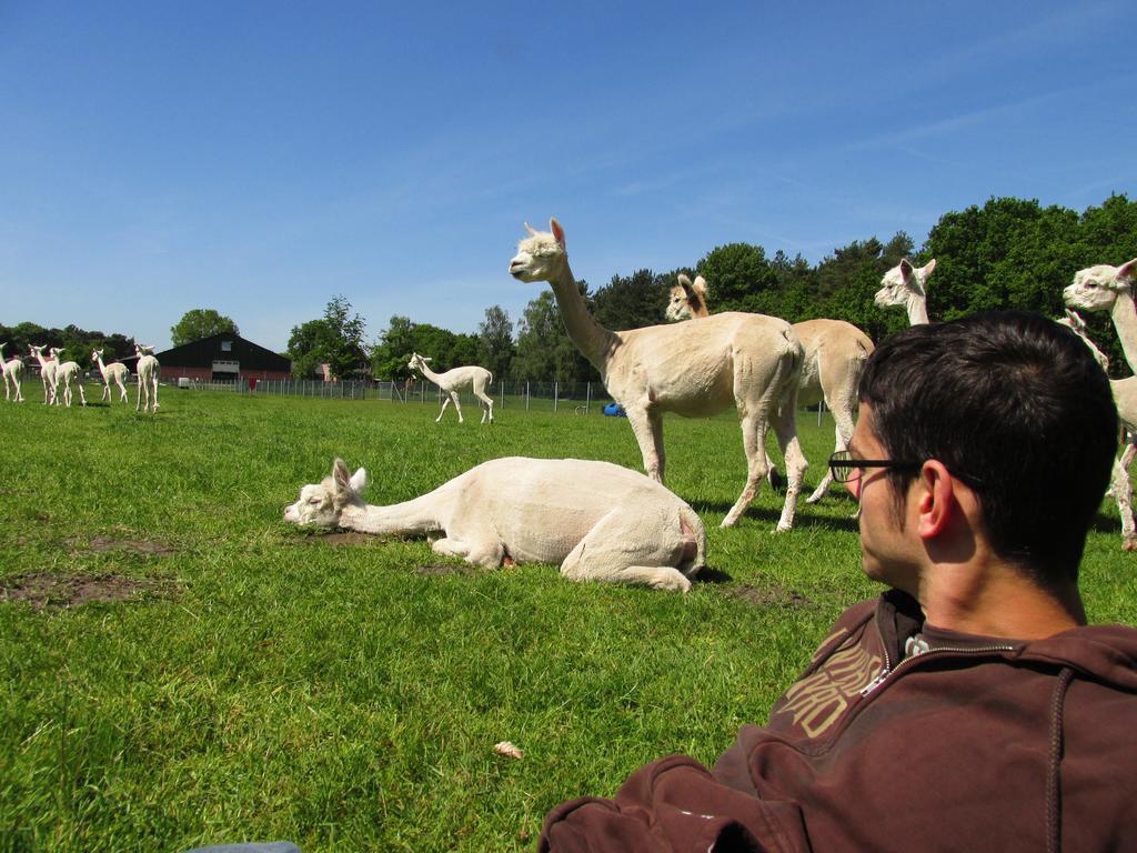 Apartmán De Alpacaboerderij Bocholt Exteriér fotografie
