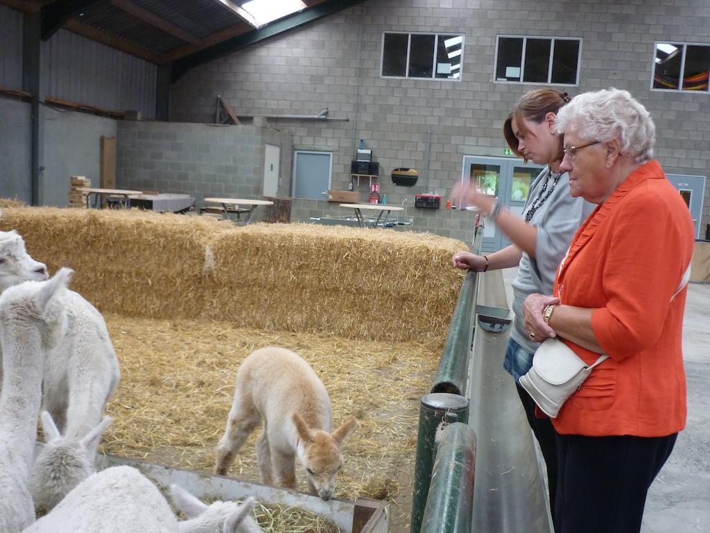 Apartmán De Alpacaboerderij Bocholt Exteriér fotografie