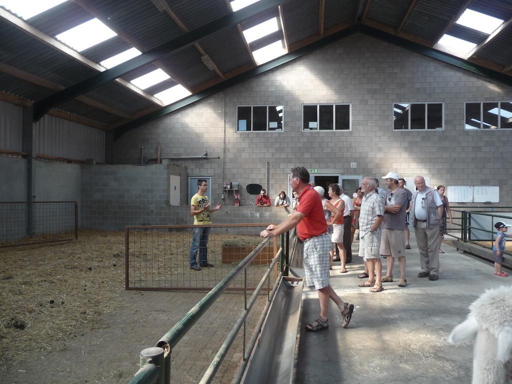 Apartmán De Alpacaboerderij Bocholt Exteriér fotografie
